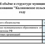 Информация об объёме и структуре муниципального долга муниципального образования Калиновское сельское поселение в 2020.jpg