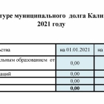 Информация об объёме и структуре муниципального долга Калиновского сельского поселения в  2021 году